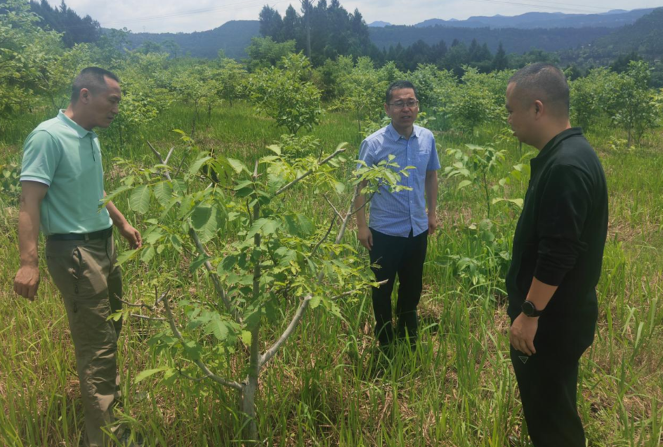 2024060518051106.png 2024060518051106.png